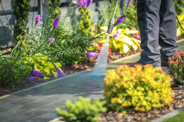 Best Parking Lot and Garage Cleaning  in Flower Hill, MD